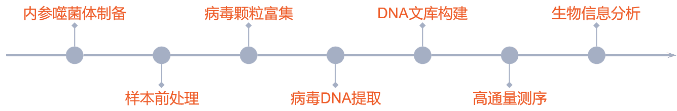 病毒组实验流程-新.png