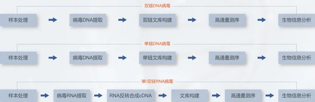 病毒基因组测序分析.jpg